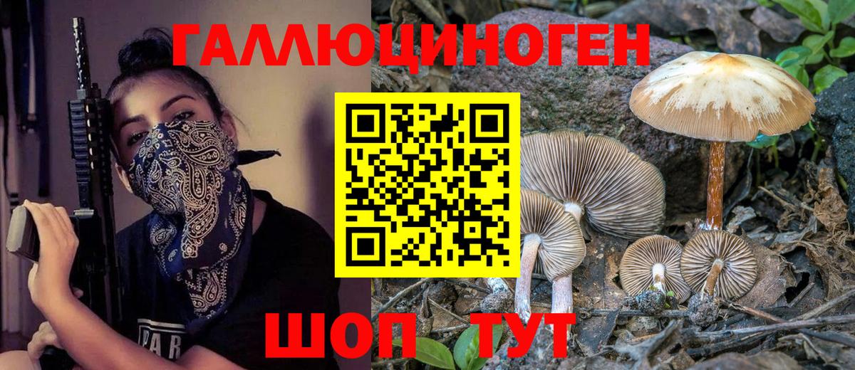 Псилоцибиновые грибы мухоморы Костомукша