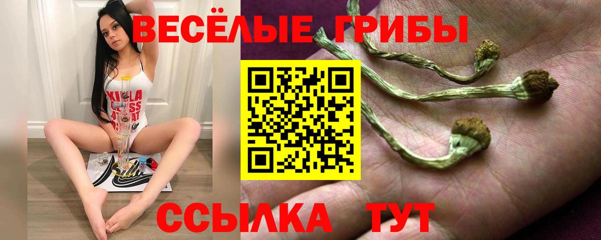 Костомукша  Галлюциногенные грибы Psilocybine cubensis  Вход с VPN 